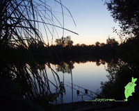 Etang Des Royales Carp Fishing Wallpaper