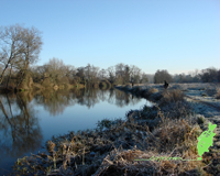 Dorset Stour Carp Fishing Wallpaper