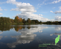 Lakeside Hampshire Carp Fishing Wallpaper