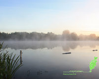 Lakeside Hampshire Carp Fishing Wallpaper